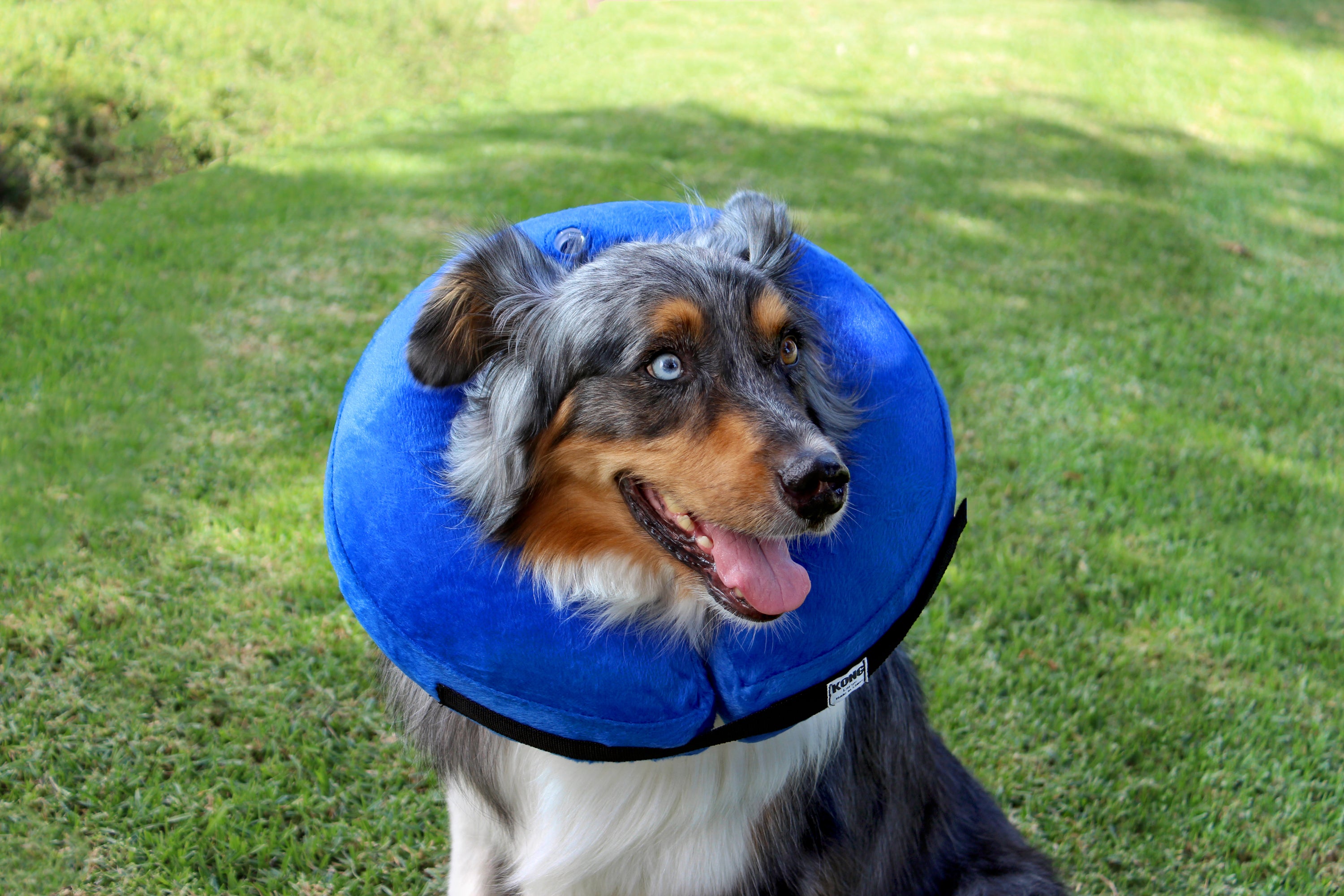 Soft Dog Cone for Large Dogs, Comfortable Recovery Collar Prevents Licking,  Scratching and Biting Wounds After Surgery, Durable Elizabethan Collar, E