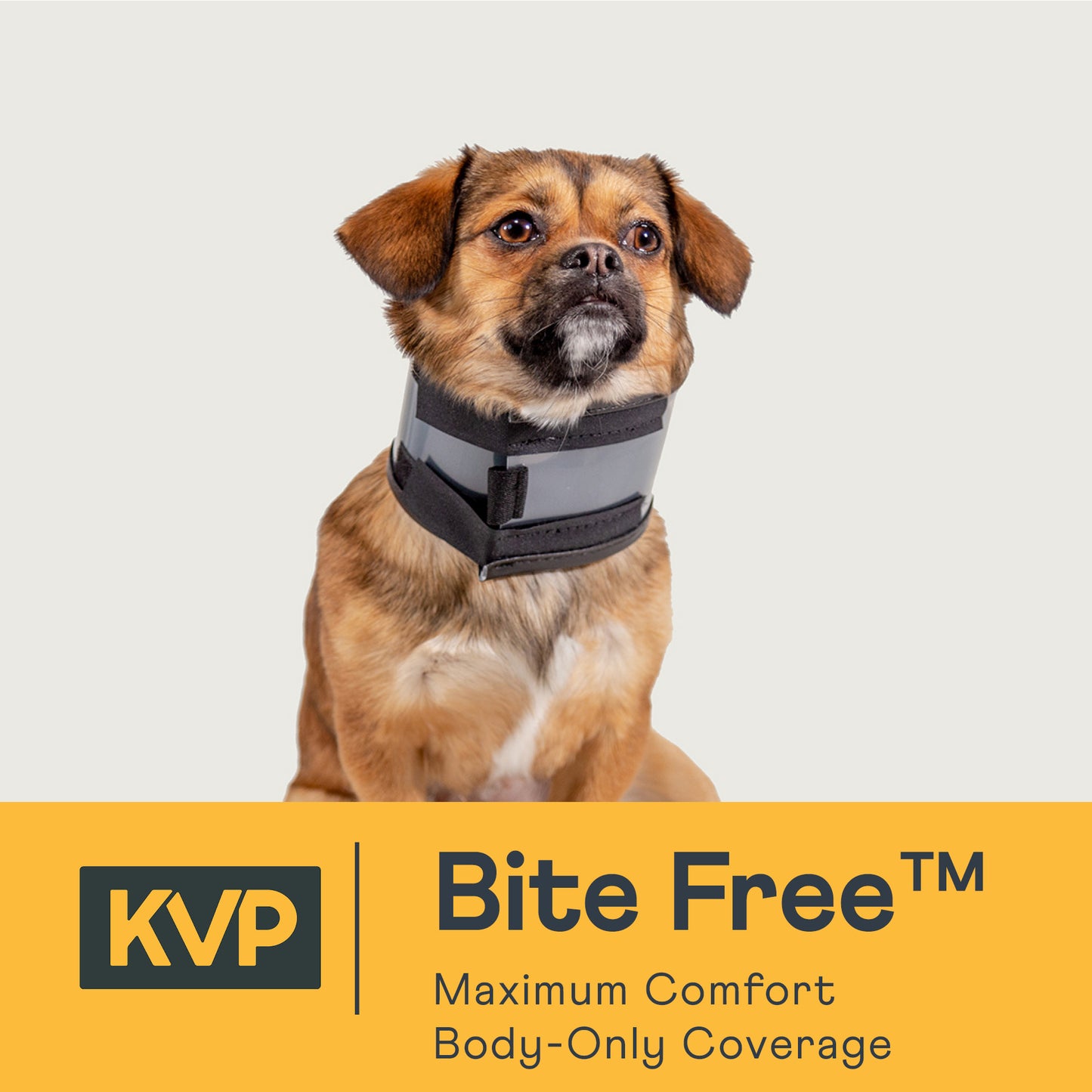 BITE FREE video