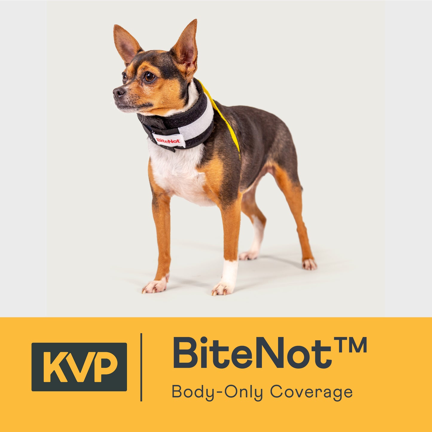 Bite Not Dog E-Collar