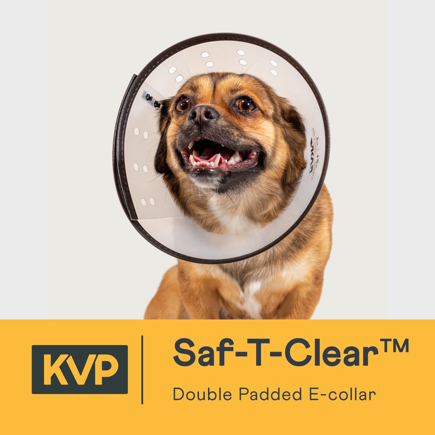 saf t clear dog cone