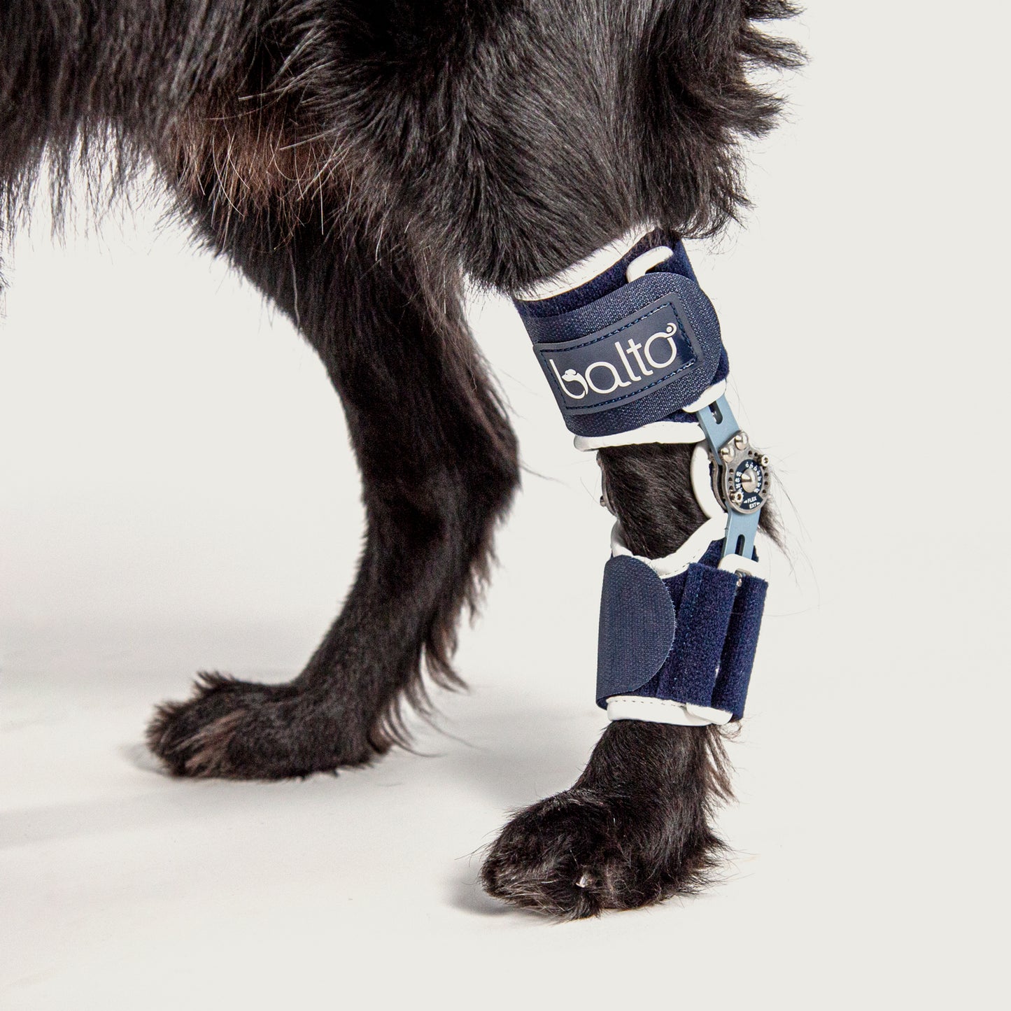 detail view of balto flexor brace detail