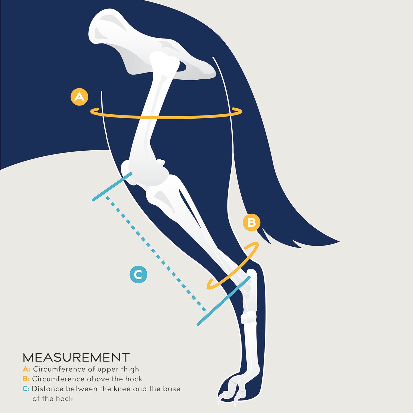 measurement guideline for balto ligatek