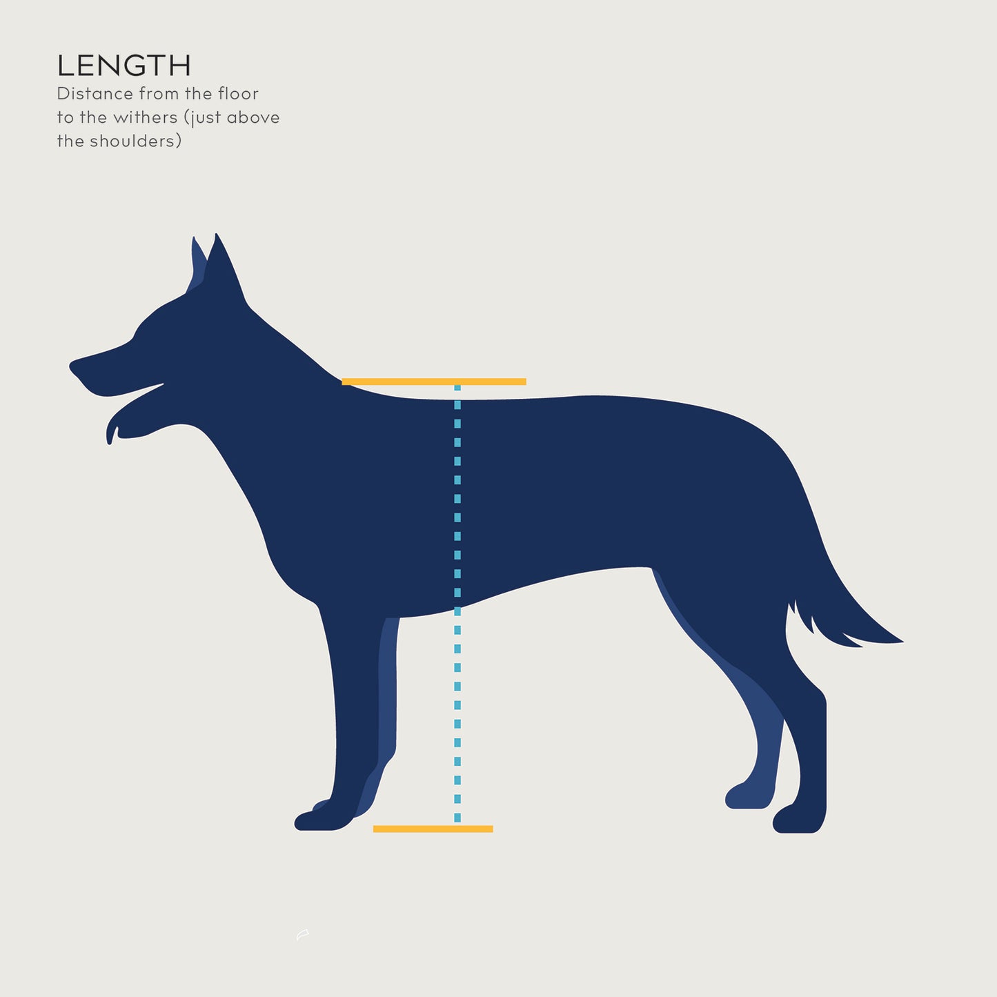 balto measurement guide for lux