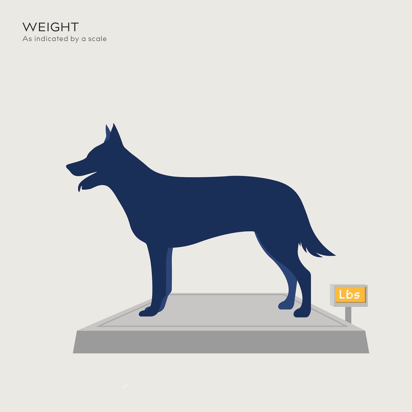 balto measurement guide for pull