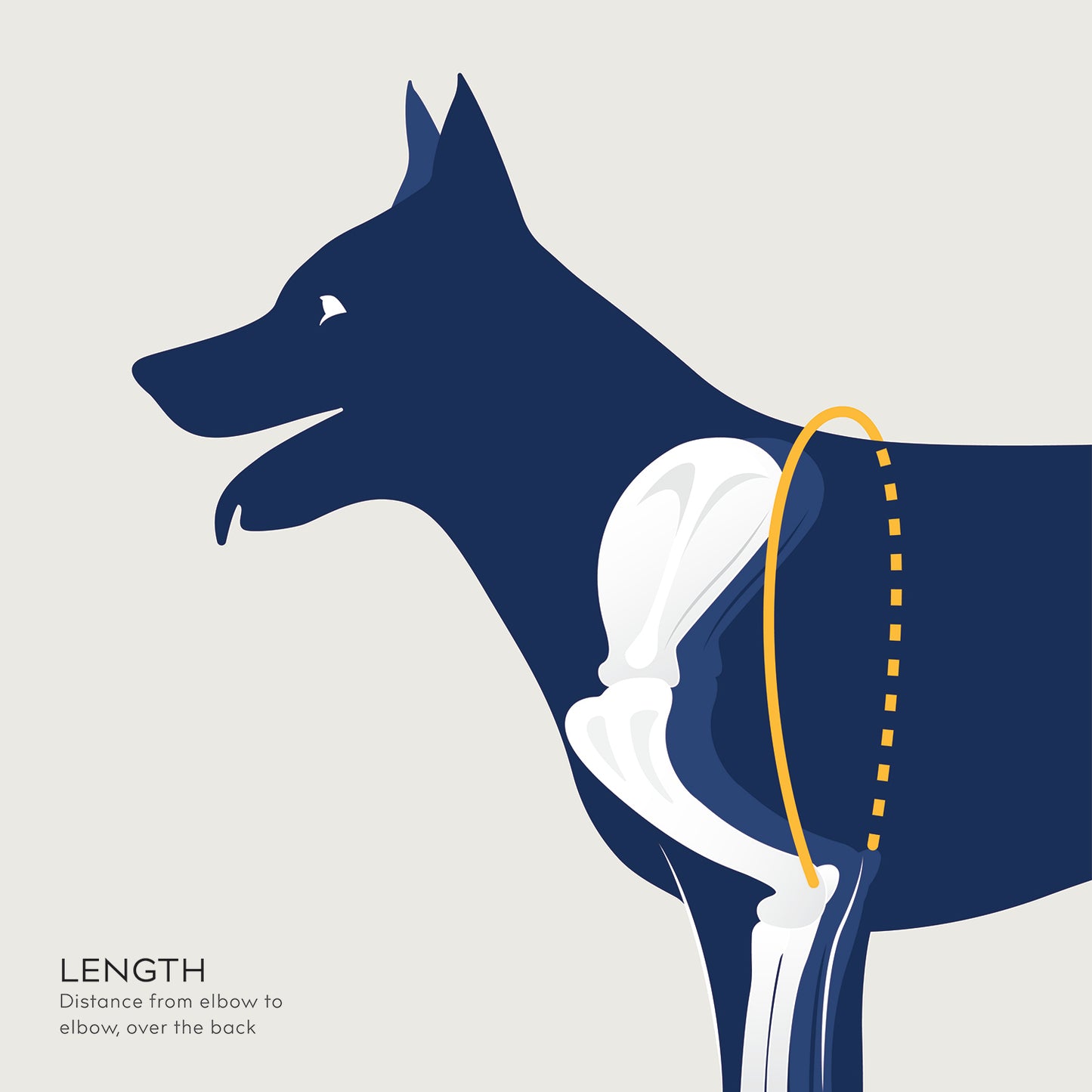 measurement guide for balto usa soft brace