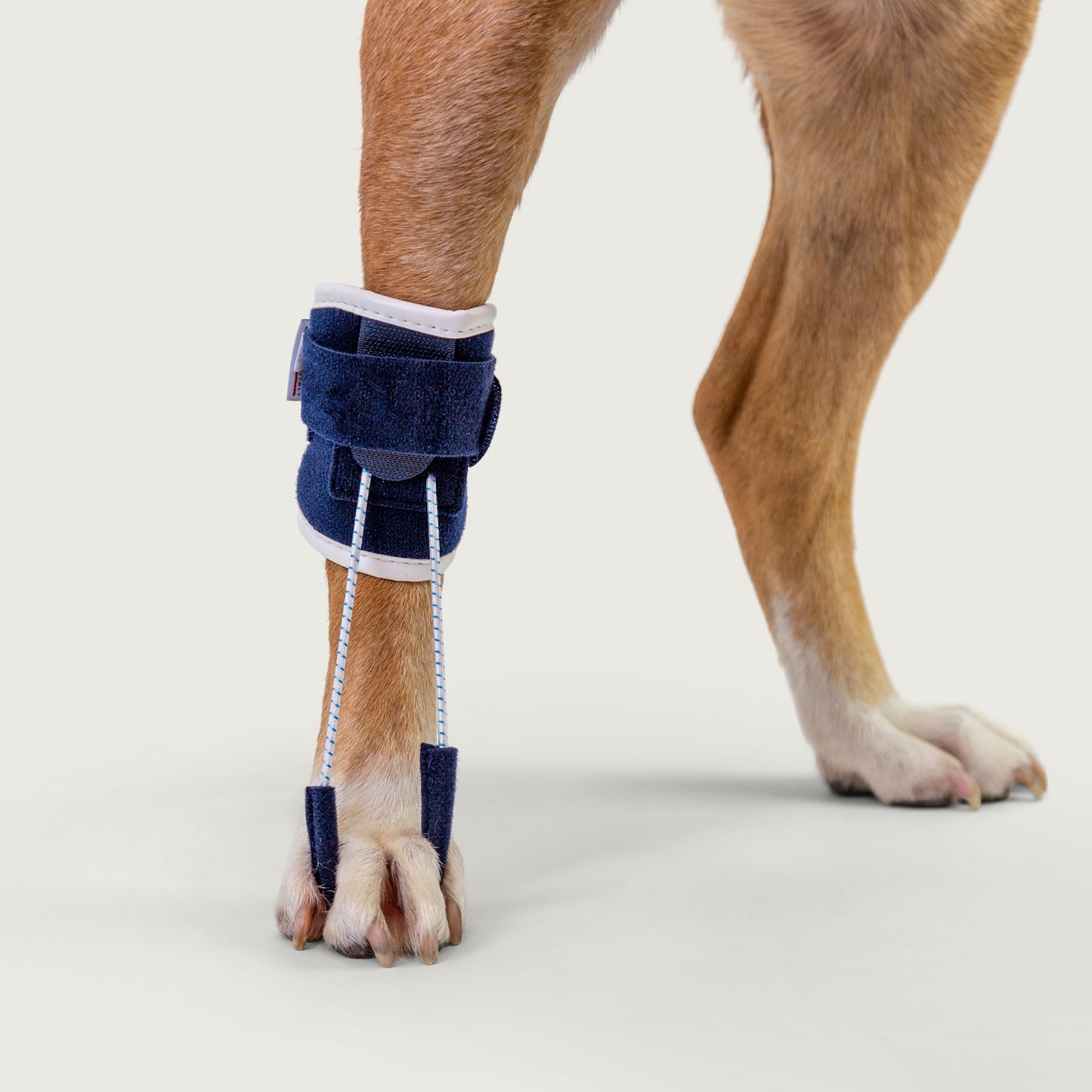 close up view of balto usa pull brace