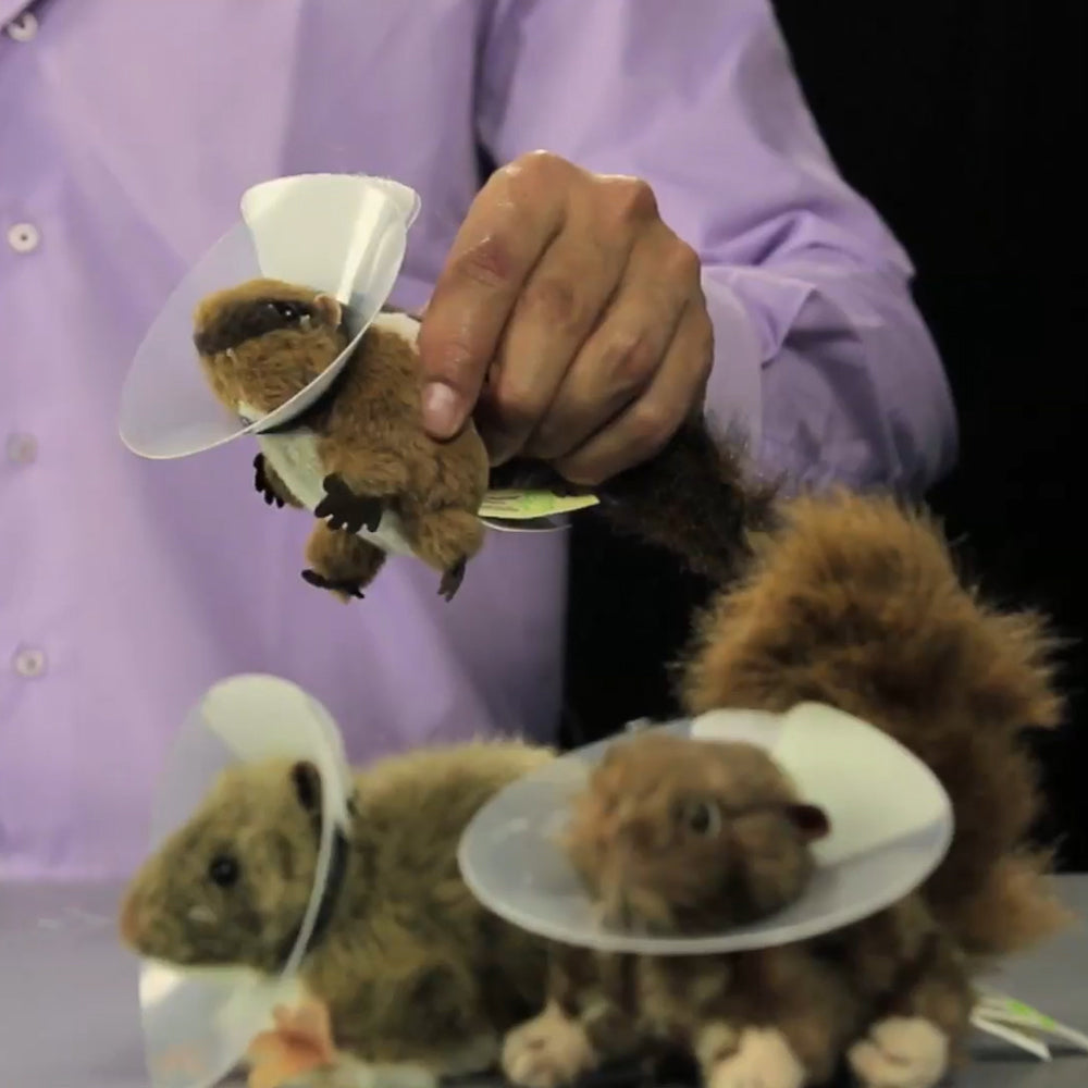 saf t shield tutorial video for kvp e collar for small animals and rodents
