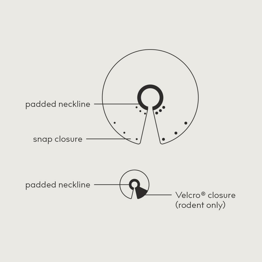 saf t shielf exotics diagram with rodent