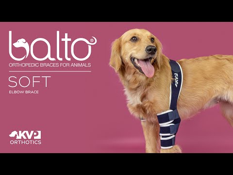 overview of the soft brace video on youtube