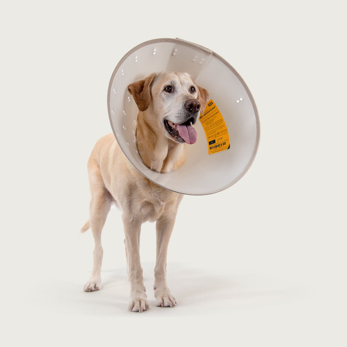 bettercollar biodegradable dog cone collar