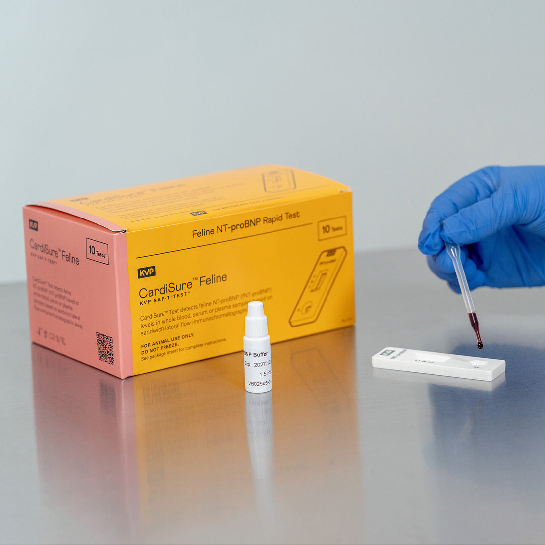 CardiSure™ NT proBNP Test | Rapid In Clinic Cardiac Screening – KVP ...