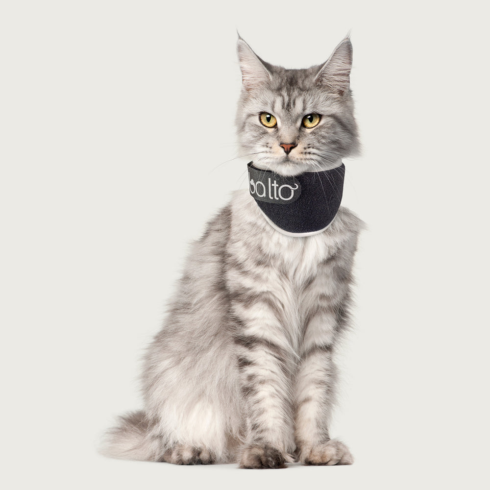 Balto® Neck Eco Cat - E-Collar for Felines