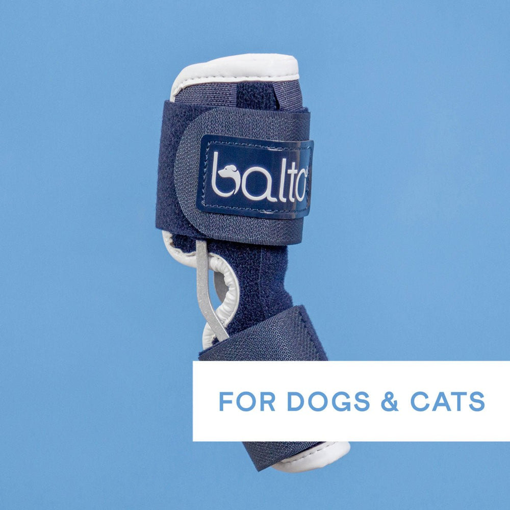 
                  
                    Balto® Hock - Hock Brace
                  
                