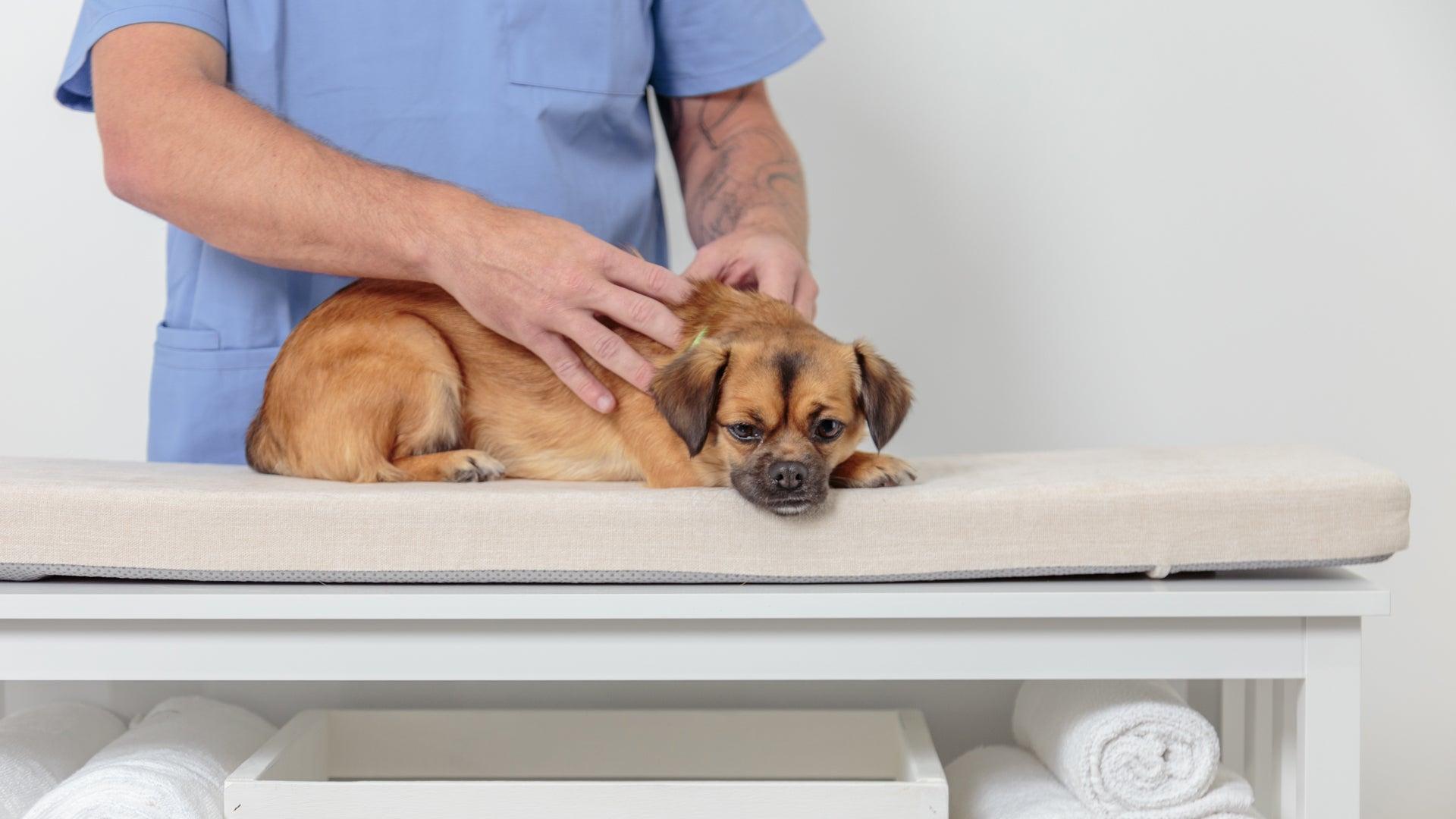 Patient Care Collection 2024 KVP International Catalog KVP