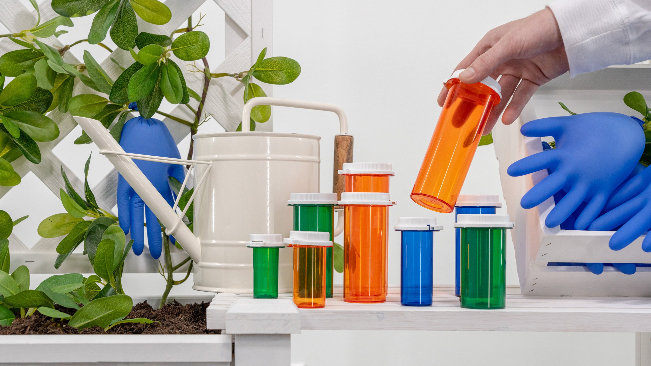 Renewables Collection 2024 KVP International Catalog KVP