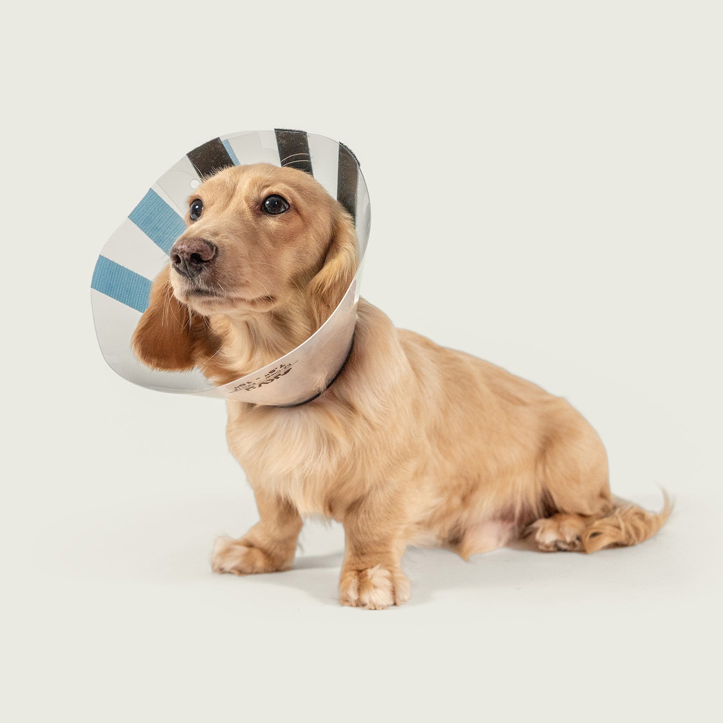 Dog Cone Collar Alfie Pet Recovery Collar Dog Cone Alfie Pet