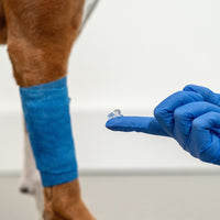 BetterCleanse™ Gel - Alternative View