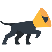 logo of KVP International, LLC
      
      
       - KVP International LLC