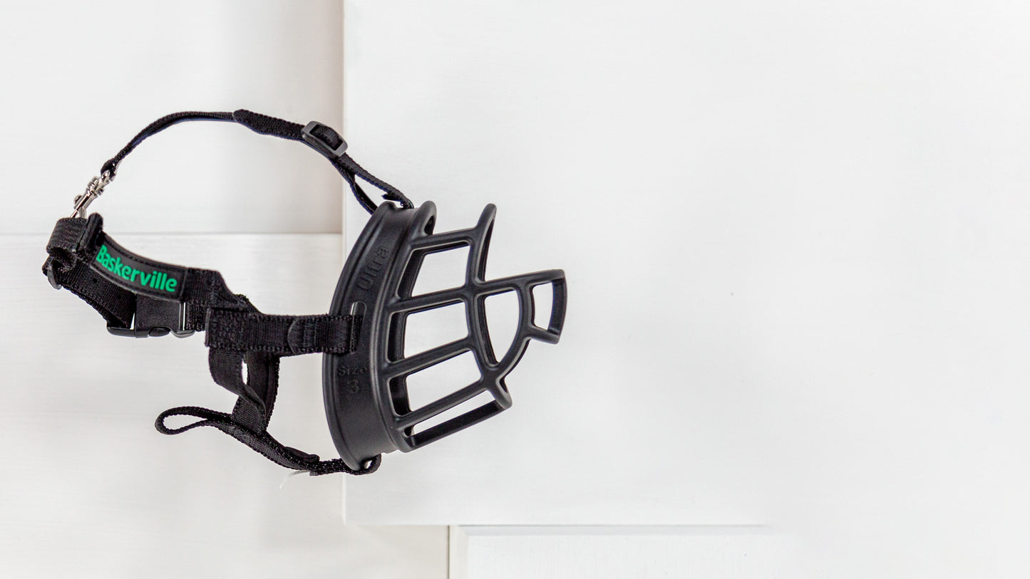 Patient Care Collection 2024 KVP International Catalog KVP