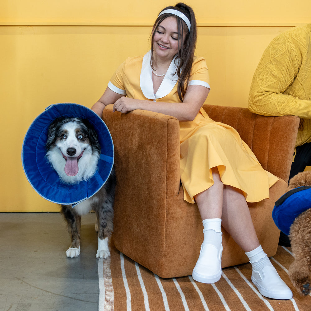 2024 KVP International Catalog The Better Pet Care Company KVP