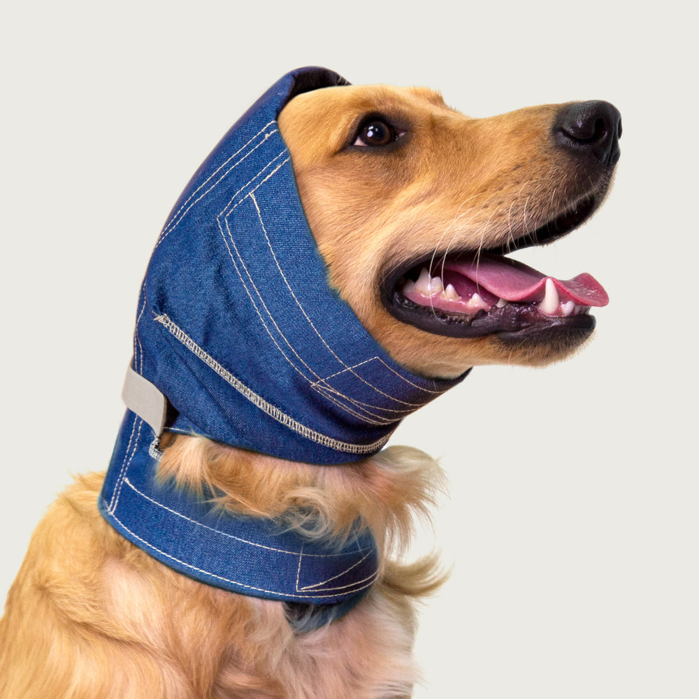 dog in no flap ear wrap denim style from kvp