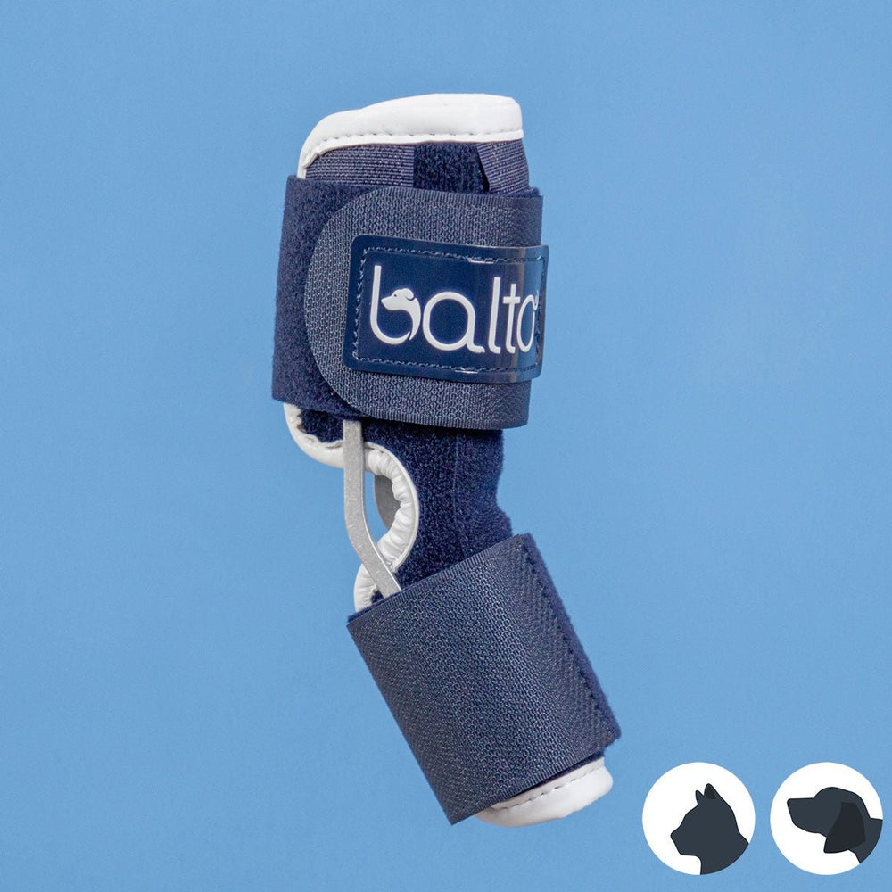 
                  
                    Balto® Hock - Hock Brace
                  
                