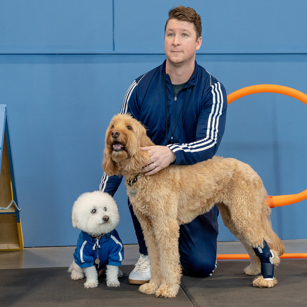 2024 KVP International Catalog The Better Pet Care Company KVP