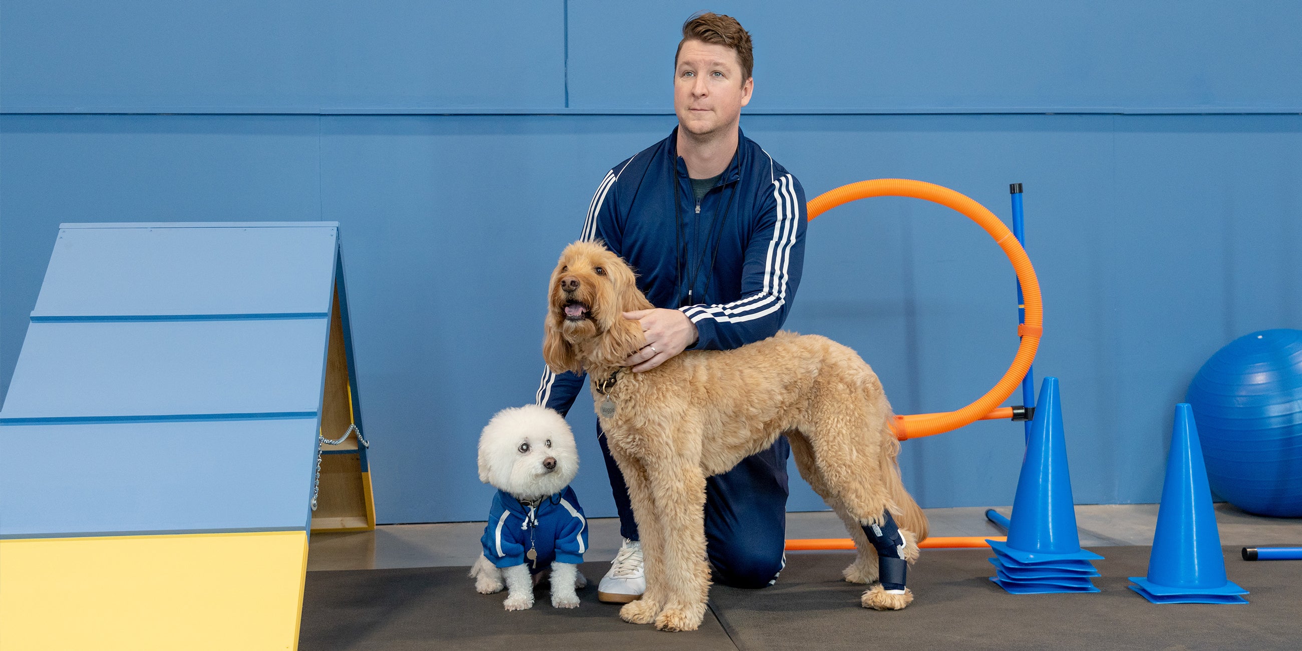 2024 KVP International Catalog The Better Pet Care Company KVP