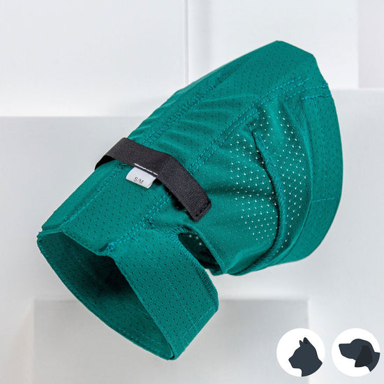Ear Protector for Dogs KVP Green 20