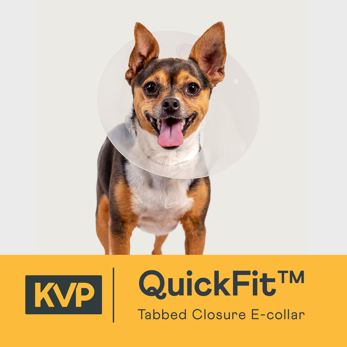 quickfit dog collar video thumbnail