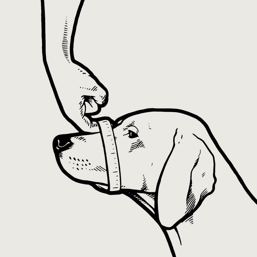 Baskerville Ultra Muzzle™ Customizable Dog Muzzle KVP International LLC
