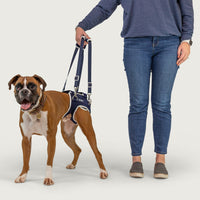 Balto® Life - Hip Dysplasia Brace