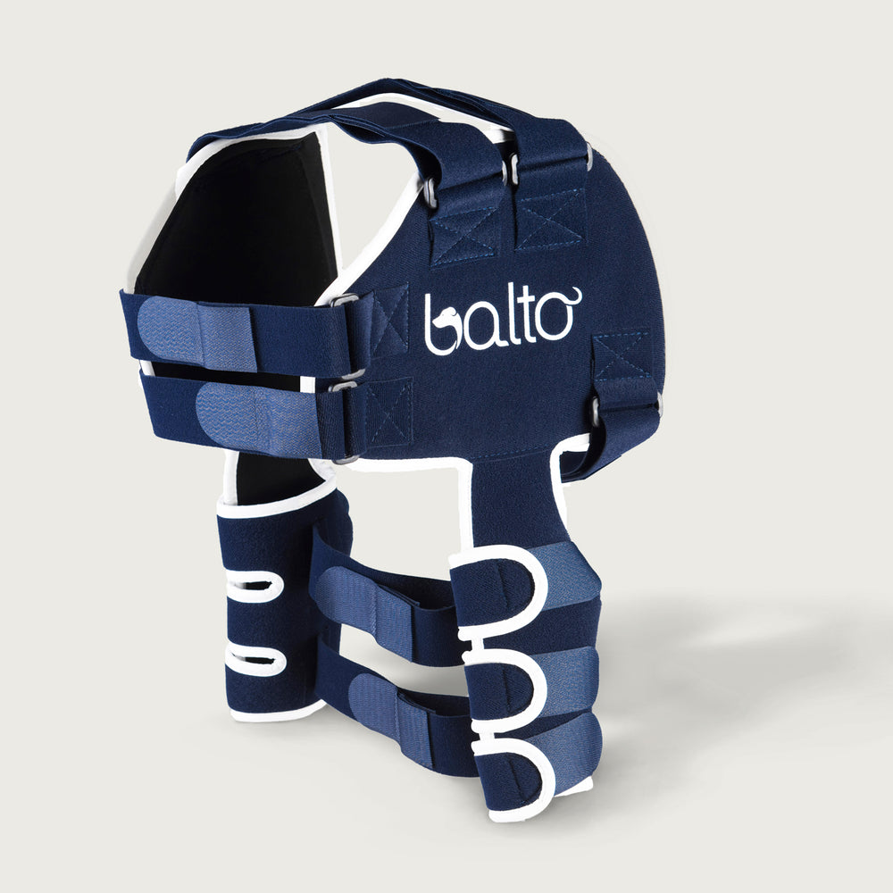 
                  
                    balto usa orthopedic bracing for canine showing the lux shoulder brace product only view.
                  
                