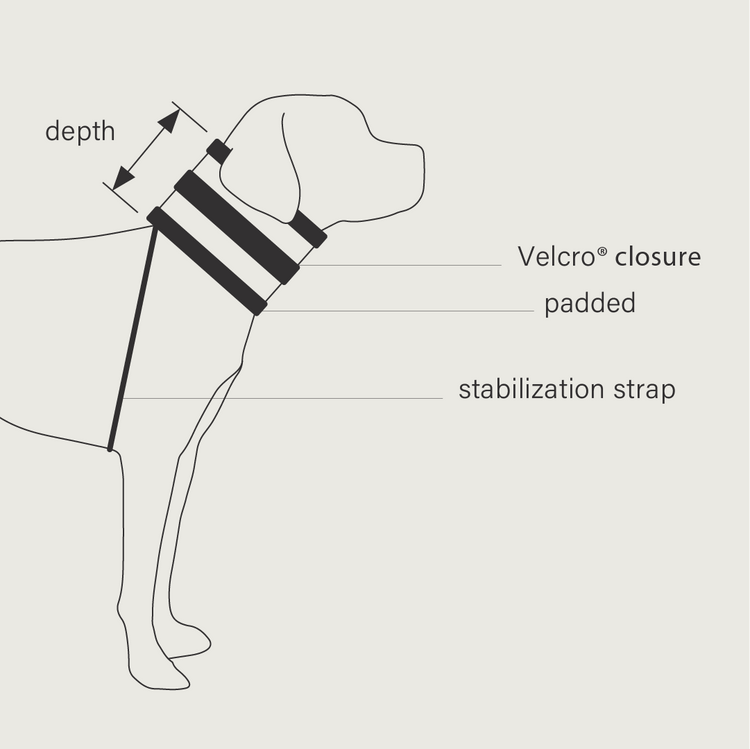 BiteNot™ Dog E Collar Protective Cervical Dog Collar KVP