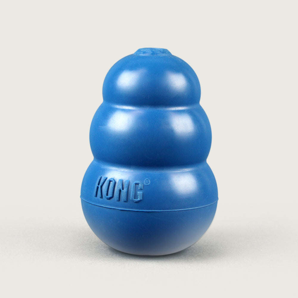 kong blue dog toy product only image