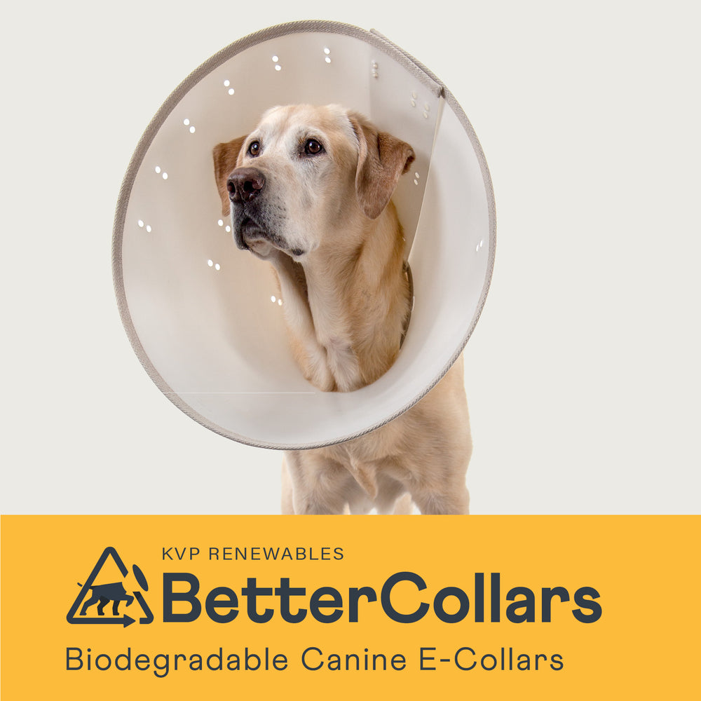 KVP BetterCollars Biodegradable Canine E Collars KVP International Inc