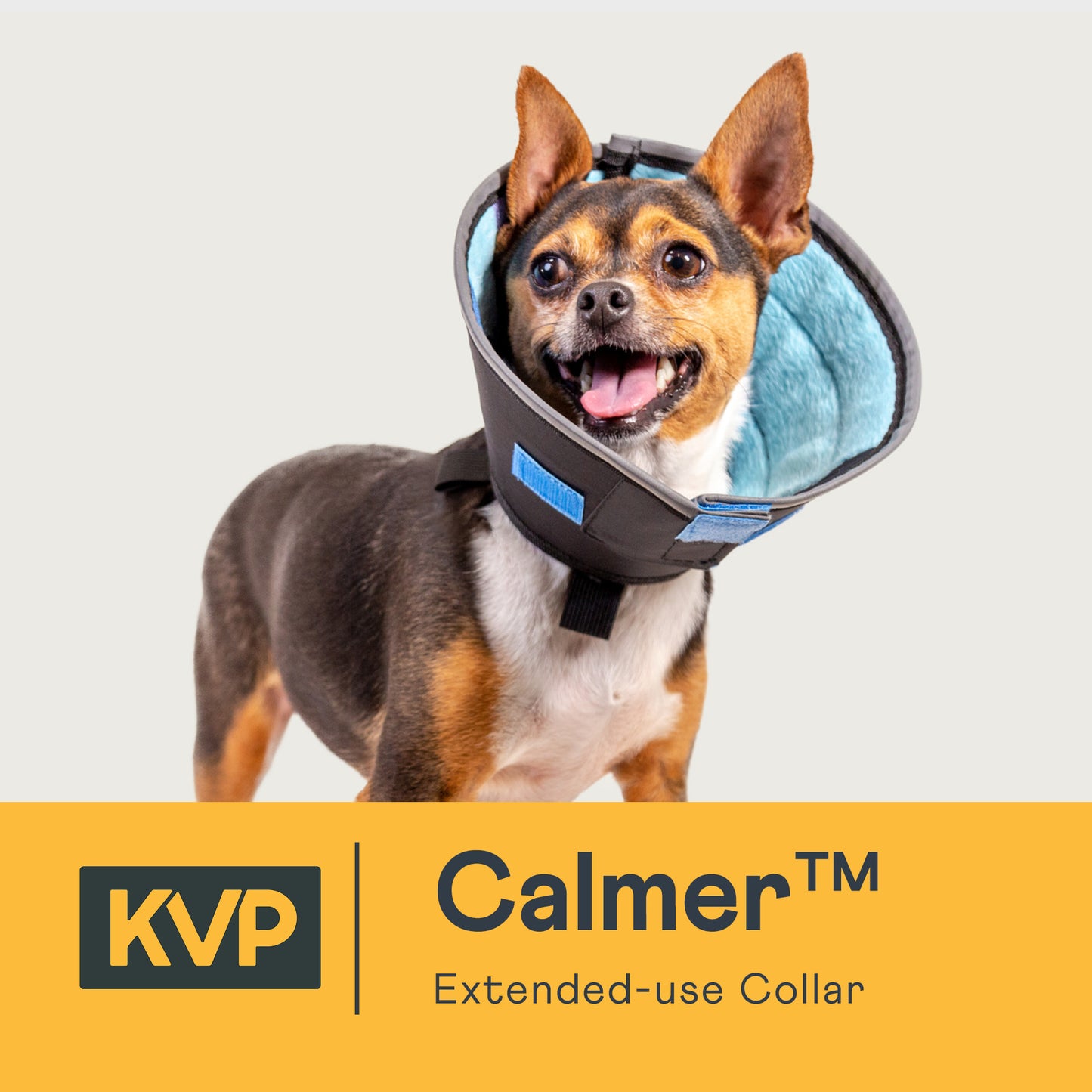 
                  
                    Load and play video in Gallery viewer, calmer overview video kvp
                  
                
