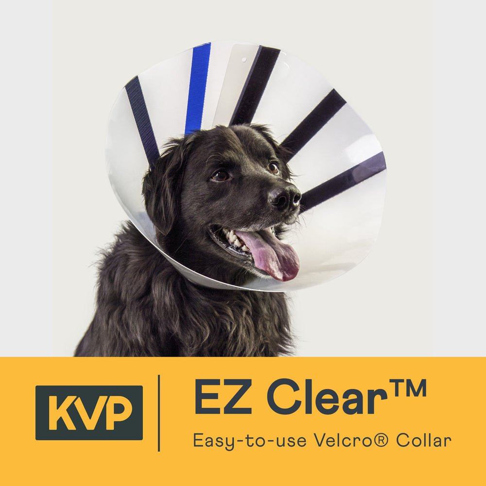 EZ Clear™ Dog E- Collar - Multicolor Velcro Dog Cone – KVP International,  Inc.
