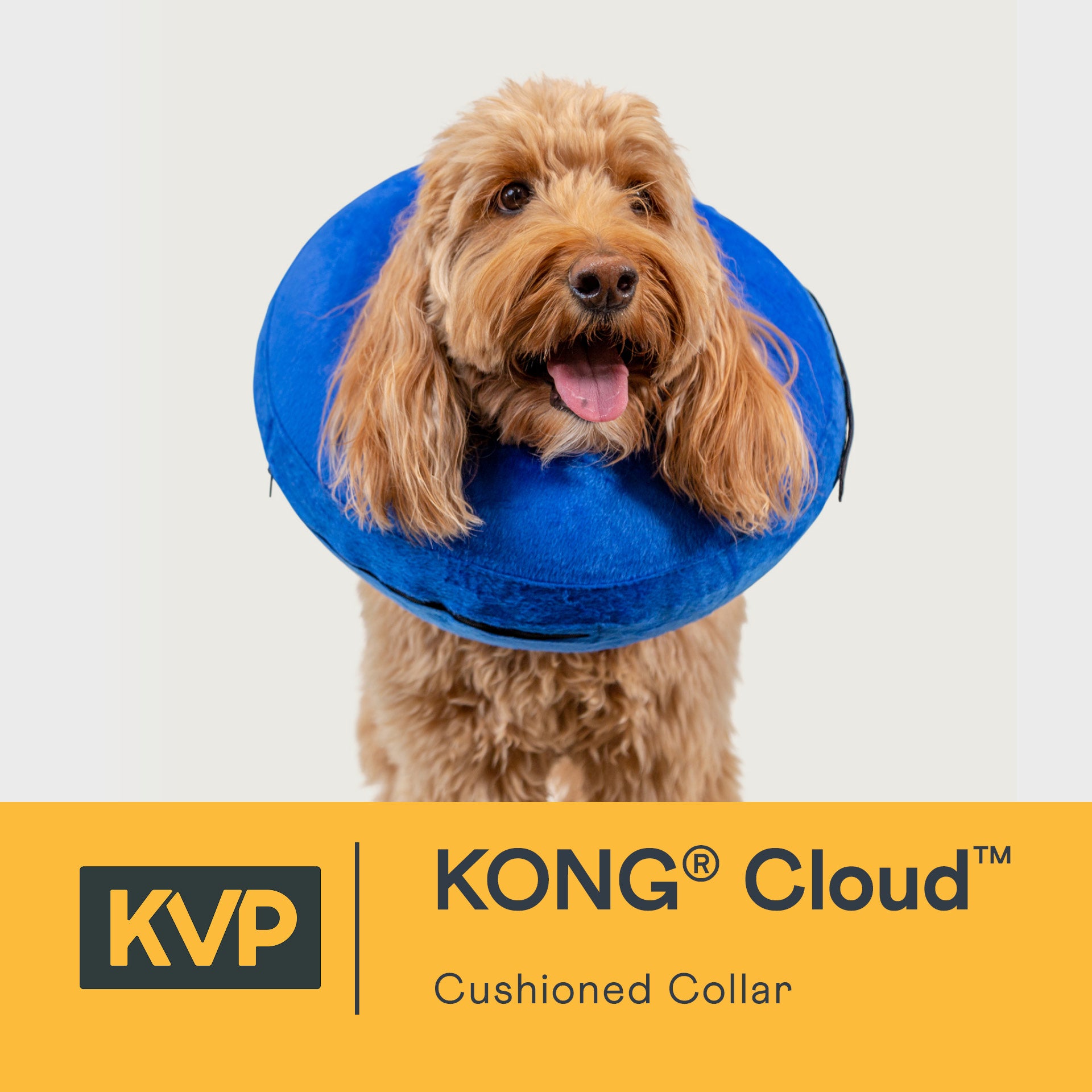 KONG Cloud Dog E Collar Ultra Soft Inflatable KVP