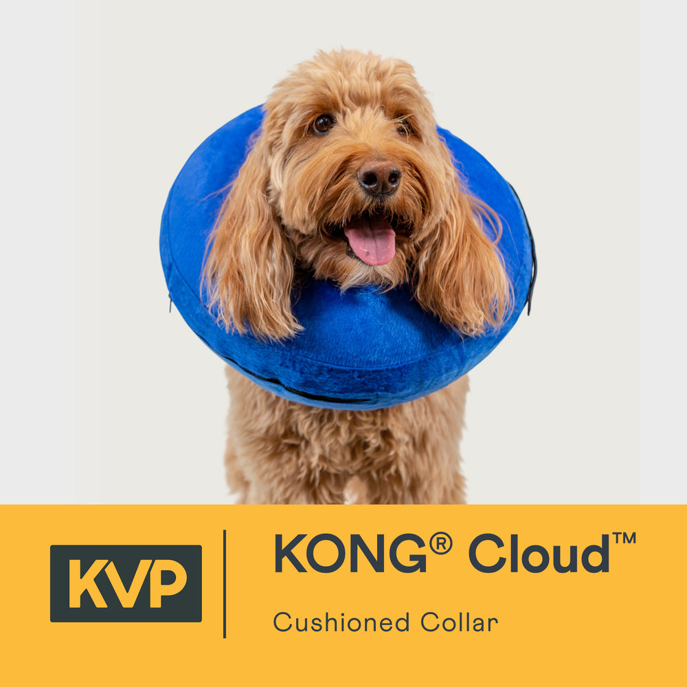 
                  
                    Load and play video in Gallery viewer, KONG cloud at KVP learn more through our overview video
                  
                