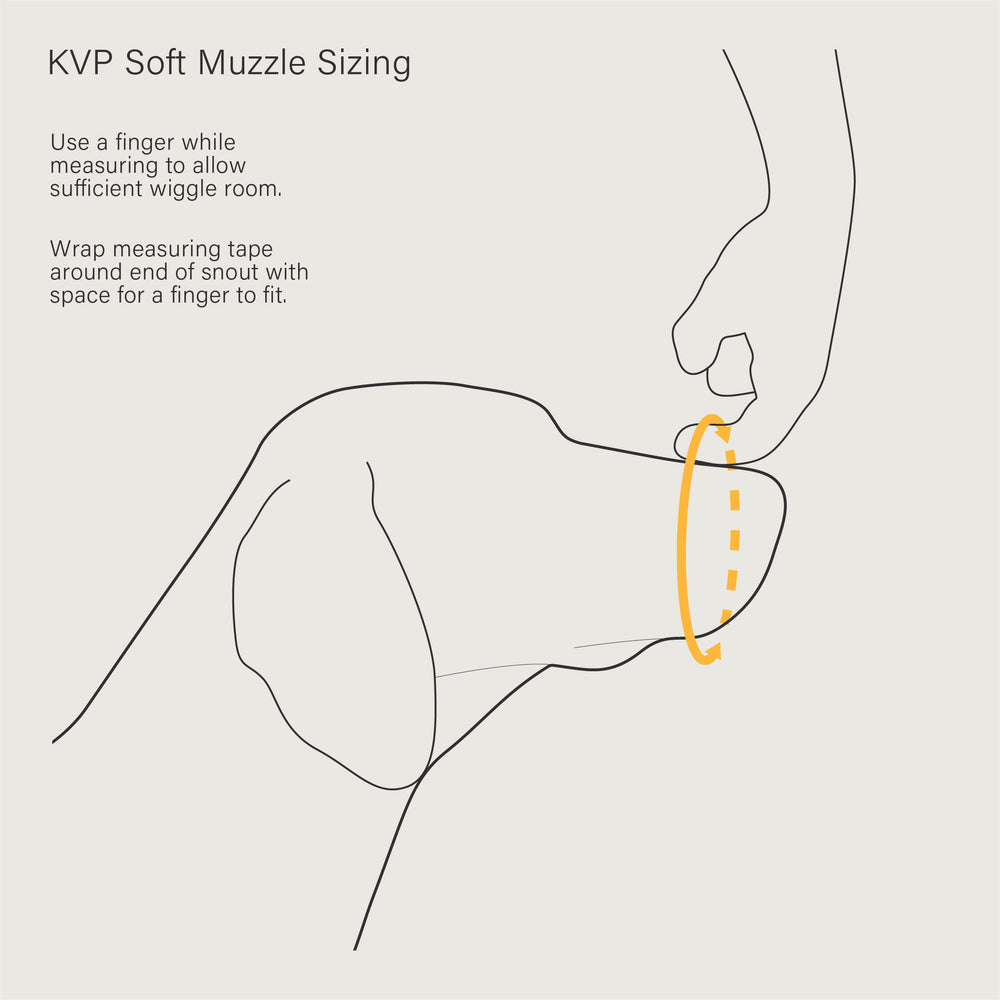
                  
                    kvp soft muzzle diagram
                  
                