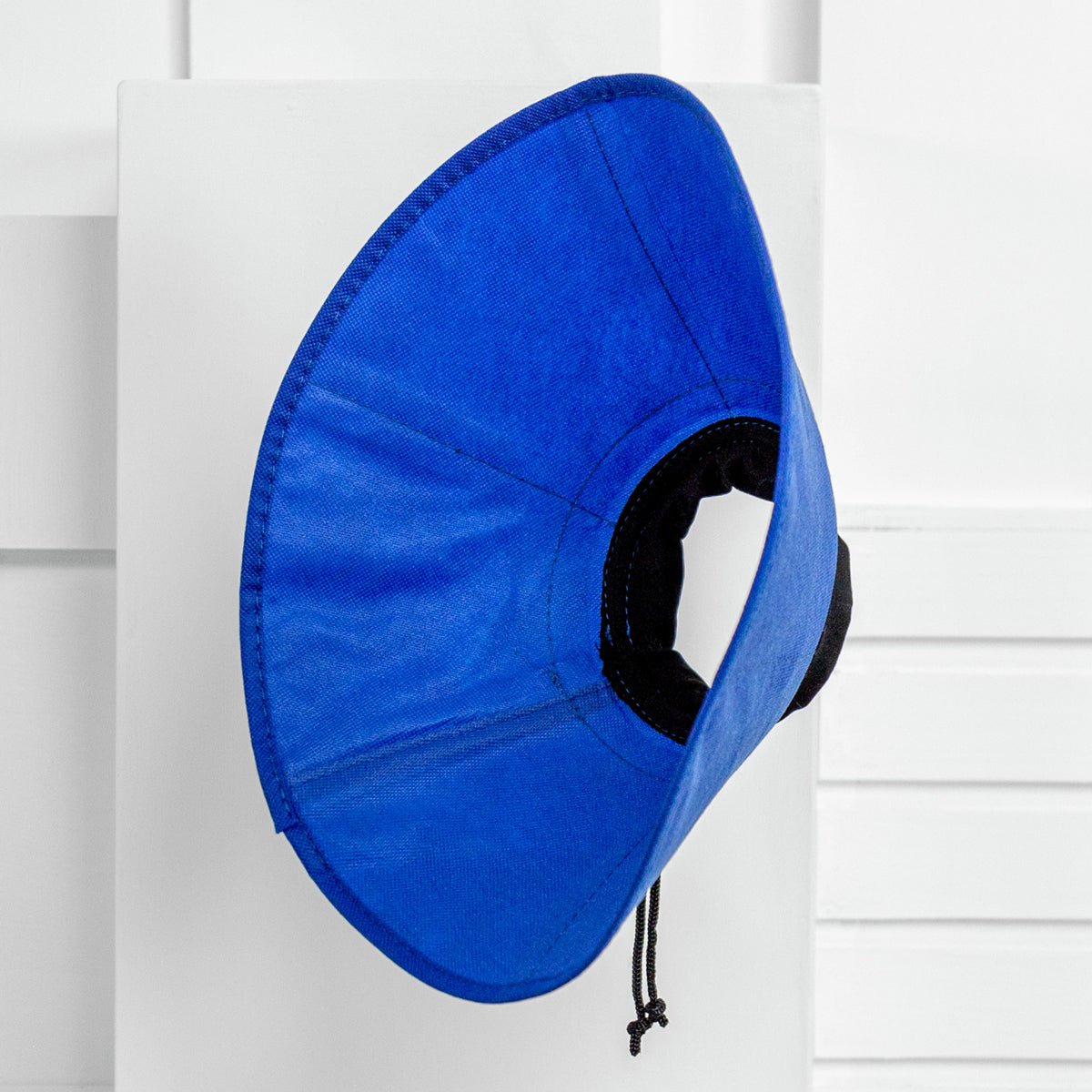 ez soft collar on white background