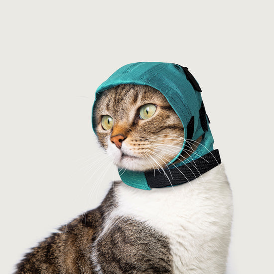 Ear Protector for Dogs KVP Green 12 main image 1