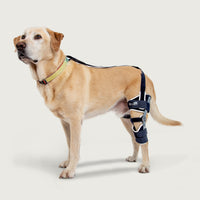 Balto® Ligatek - Adjustable Hinged Knee Brace